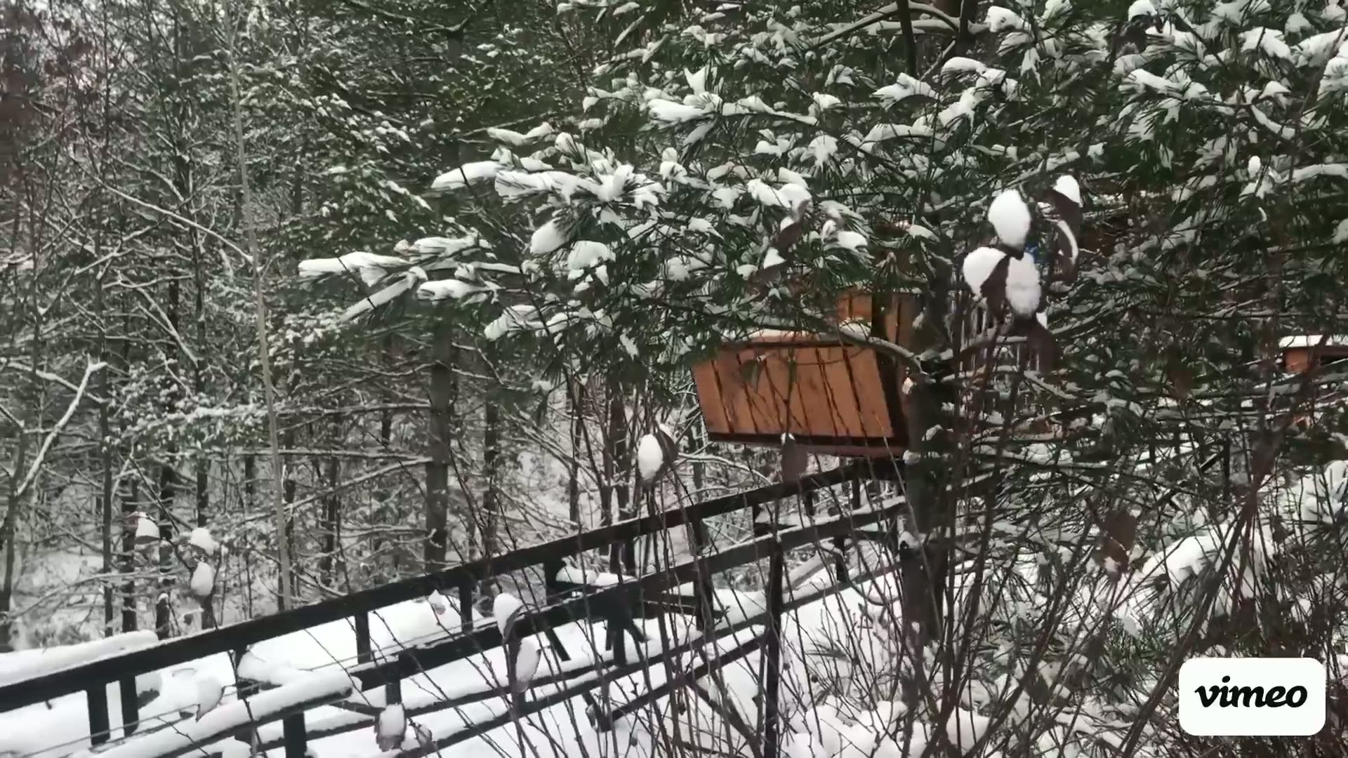 Lift 79 — Gull Lake, Minden
